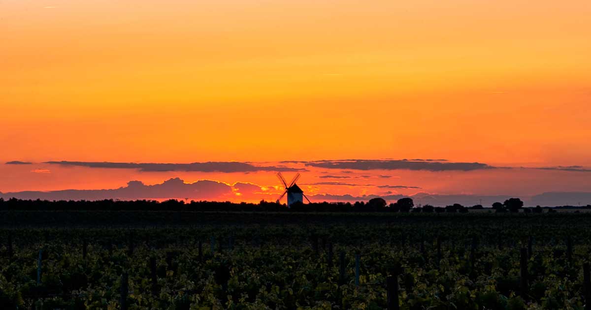 El enoturismo en España crece y cambia